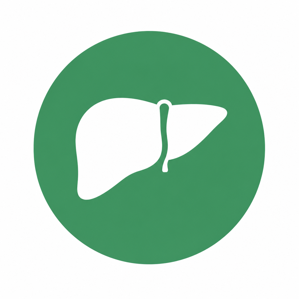 Liver